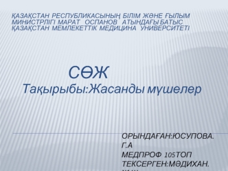 МБФ Жасанды мушелер