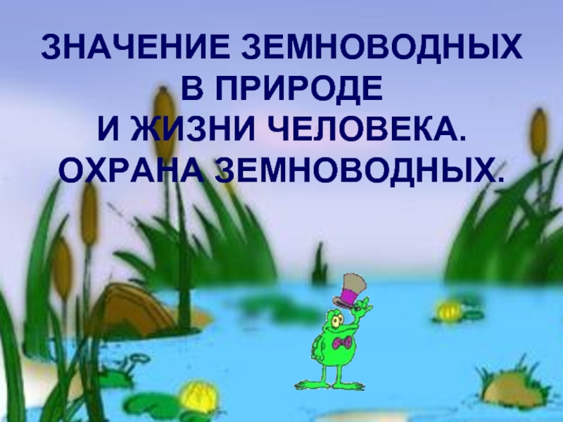 Земноводные в жизни человека