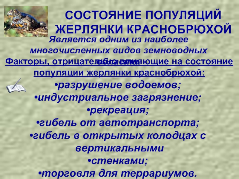 Значение земноводных в природе 8 класс. Значение земноводных в природе. Значение земноводных в природе и для человека. Значение земноводных в природе и жизни человека. Значение земноводных в жизни человека.