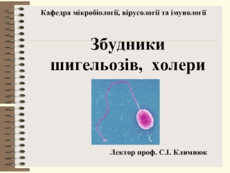 Збудники шигельозів, холери
