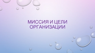 Миссия И ЦЕЛИ ОРГАНИЗАЦИИ
