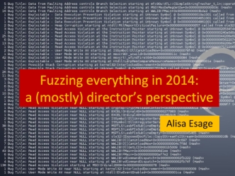 Fuzzing everything in 2014