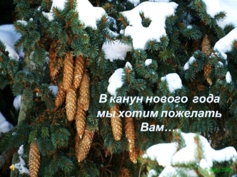 В канун нового  года 
мы хотим пожелать Вам….
