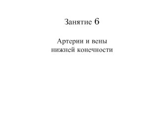 Артерии и вены нижней конечности. (Занятие 6)