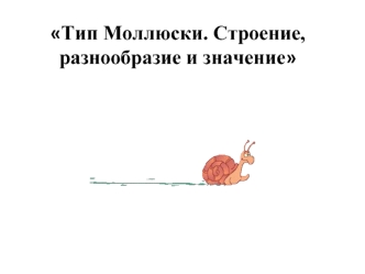 Тип Моллюски. Строение, разнообразие и значение