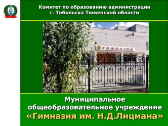 Муниципальное общеобразовательное учреждение Гимназия им. Н.Д.Лицмана
