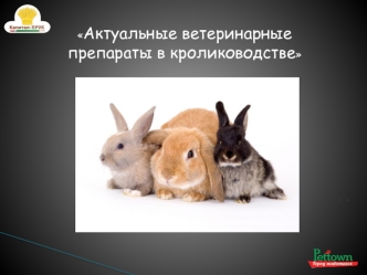 Актуальные ветеринарные препараты в кролиководстве