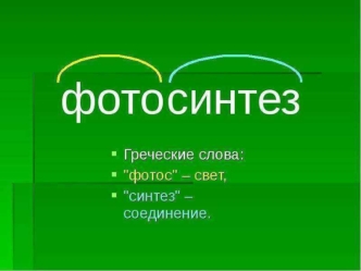 Фотосинтез. Физиология растений