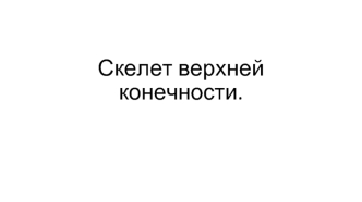 Скелет верхней конечности