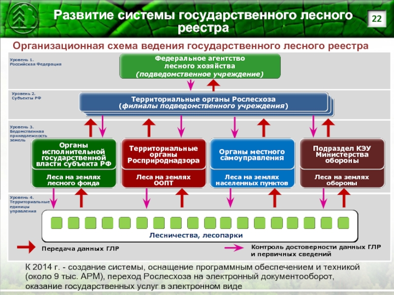 Глр. Выписка из государственного лесного реестра. Развитие лесного хозяйства. Уровни государственного управления лесным хозяйством. Территориальные органы Рослесхоза.