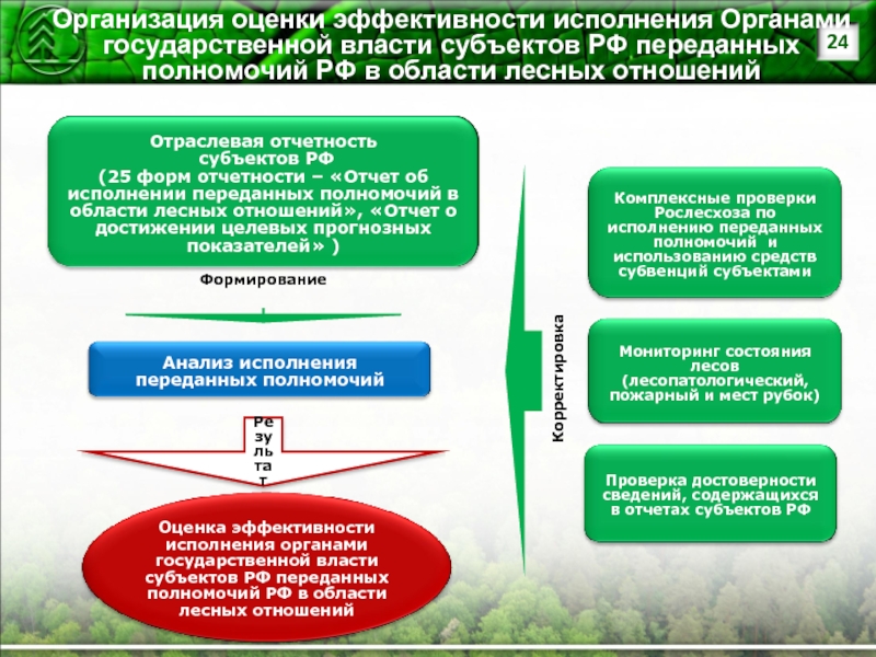 Что такое лесной план субъекта российской федерации