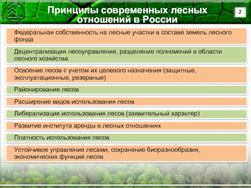 Право собственности земель лесного фонда