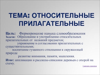 Тема: Относительные прилагательные