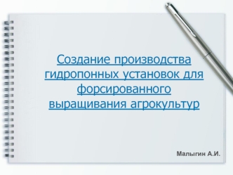 Создание производства гидропонных установок для форсированного выращивания агрокультур