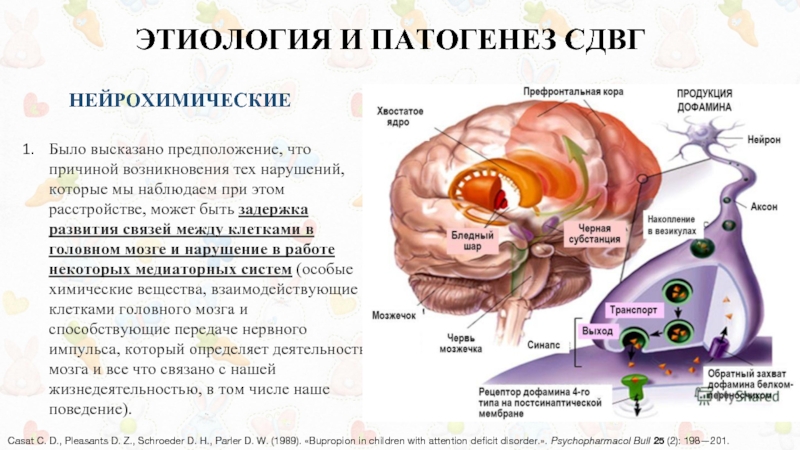 Доклад: Расстройства нервной системы. Синдром гиперактивности. Причины возникновения и лечение