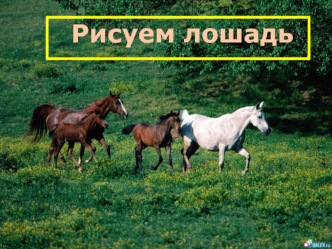 Рисуем лошадь