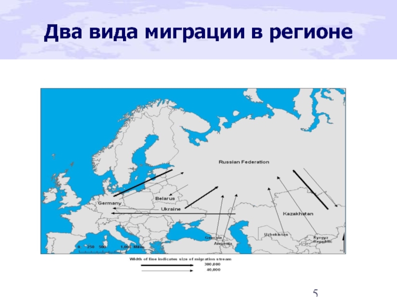 Миграция северного кавказа