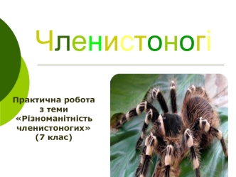 Різноманітність членистоногих