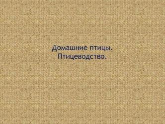 Домашние птицы. Птицеводство