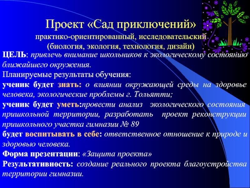 Исследовательский практико ориентированный проект