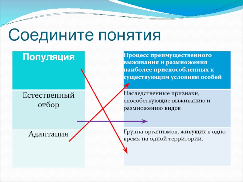 Объединяющий термин. Соединяемых понятий. Соедините понятия по психологии. Естественный отбор как процесс преимущественного выживания.