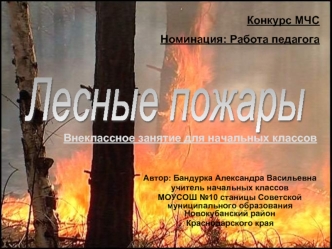 Лесные пожары