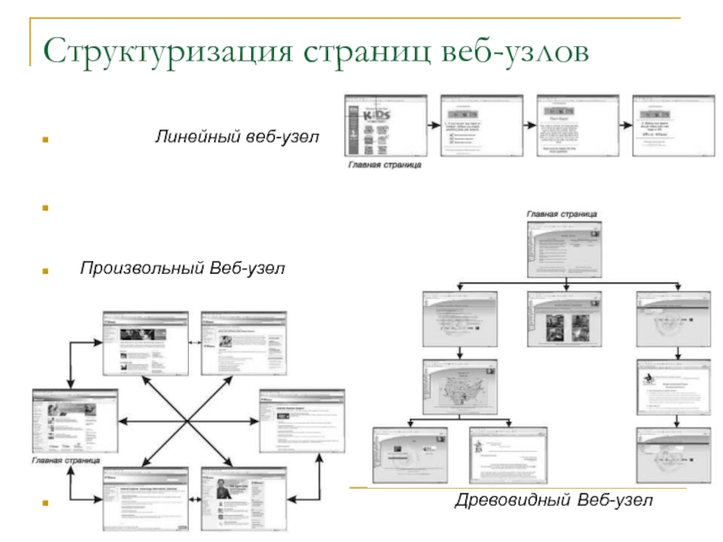 Линейный узел. Структуризация. Веб узел. Веб узел пример.