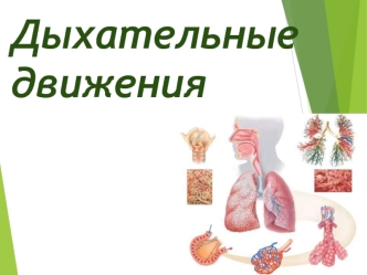 Дыхательные движения