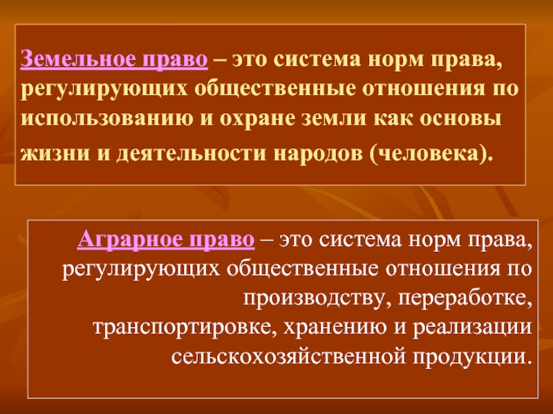 Реферат: История становления и развития земельных отношений и земельного законодательства Беларусии