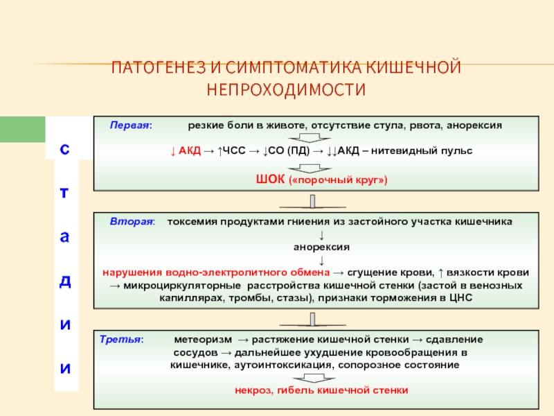 Отсутствие стула