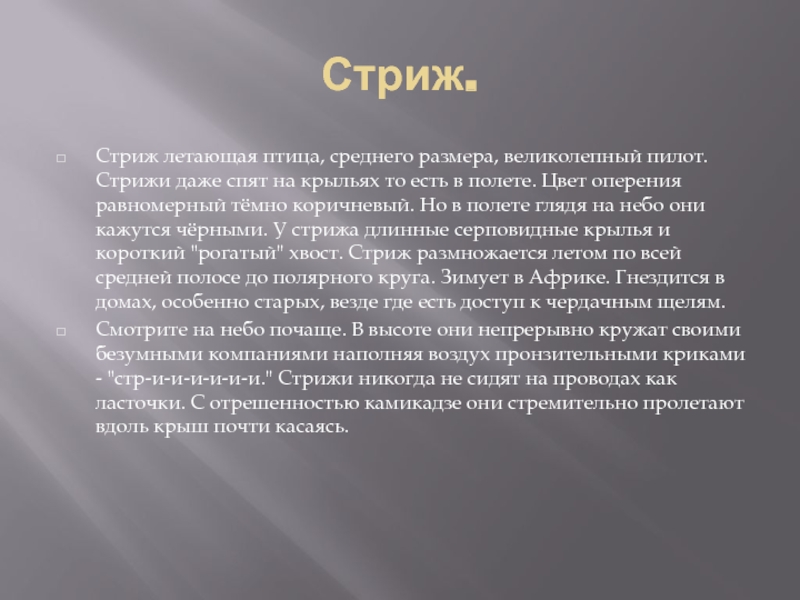 План стрижонок стриж