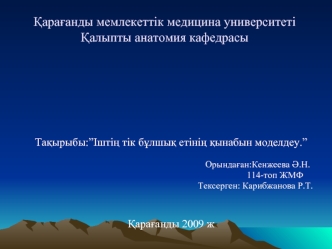 Іштің тік бұлшық етінің қынабын моделдеу