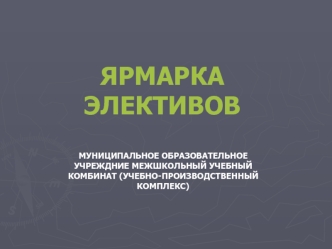 ЯРМАРКА ЭЛЕКТИВОВ