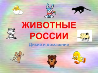 ЖИВОТНЫЕ РОССИИ