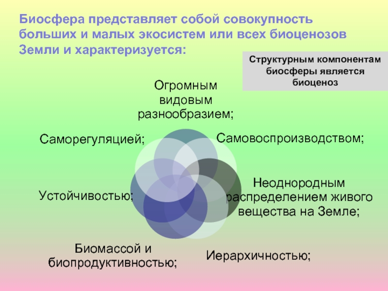 Проект представляет собой. Биосфера Глобальная экосистема. Что представляет собой Биосфера. Биосфера это совокупность экосистем. Биосфера – это совокупность экосистем, представляющих собой.