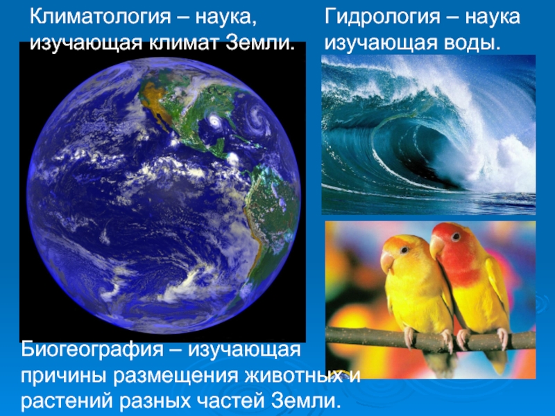 Изучение климата. Климатология. Климатология это наука. Что изучает климатология. Климатология презентация.