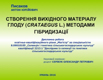 Створення вихідного матеріалу глоду (crataegus l.) методами гібридизації