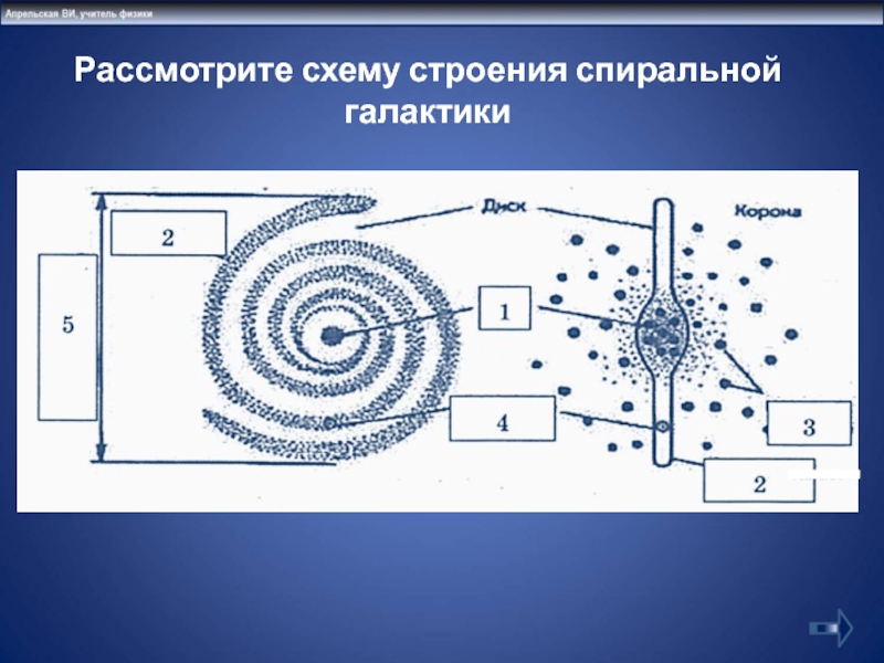 Рассмотрите схему строения нашей спиральной галактики цифра 1 ядро галактики