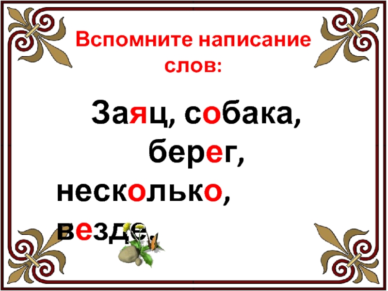 Вспомнить написание. Заяц правописание слова. Заяц написание слова. Орфография слова заяц. Правописание слов собака.