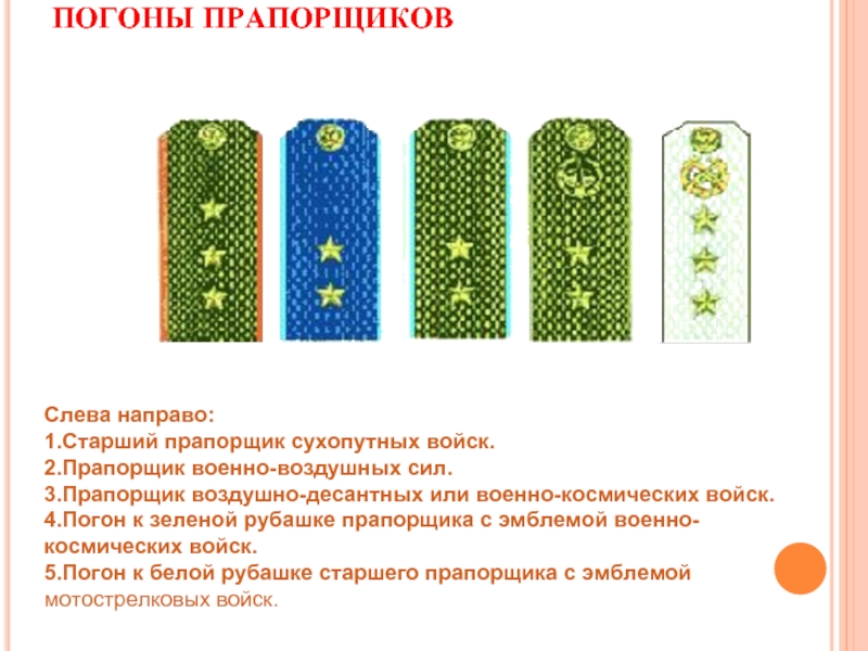 Старший прапорщик погоны. Погоны прапорщика сухопутных войск. Погоны прапорщика ВВС. Погоны прапорщика Российской армии сухопутных. Старший прапорщик погоны армия.