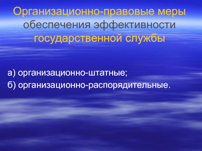 Правовое обеспечение деятельности служащих. Аспект эффективности.