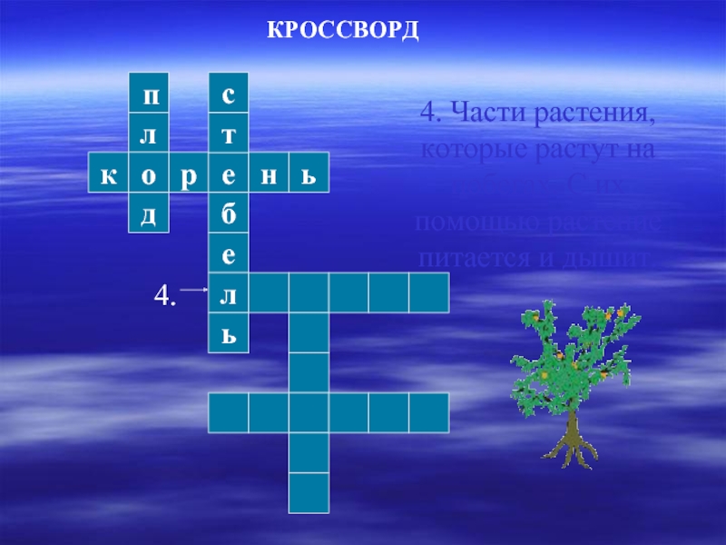 Цветок 6 букв сканворд. Кроссворд растения. Кроссворд на тему растения 3 класс. Кроссворд части растения. Кроссворд на тему части растений.