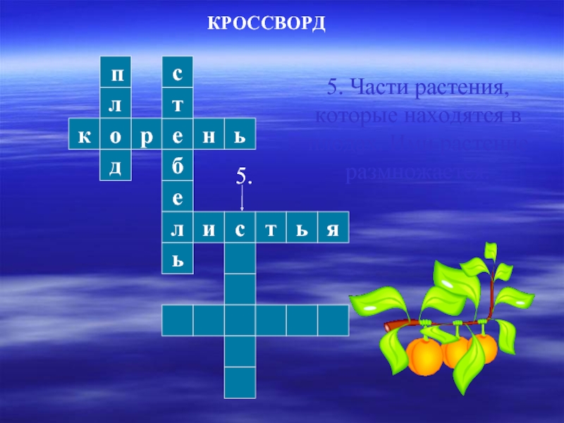 Цветов сканворд. Кроссворд части растений 3 класс. Кроссворд на тему дыхание растений. Кроссворд окружающий мир 4 класс. Дыхание растений кроссворд.