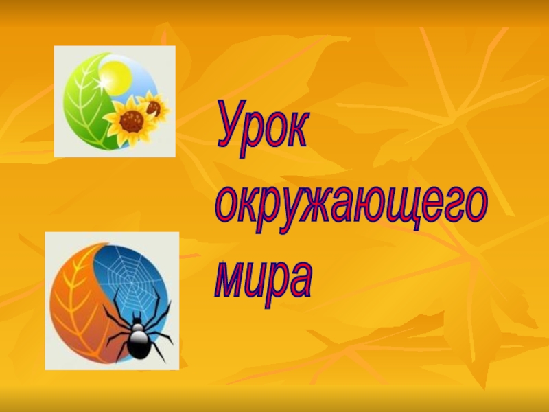 Картинка урок окружающего мира