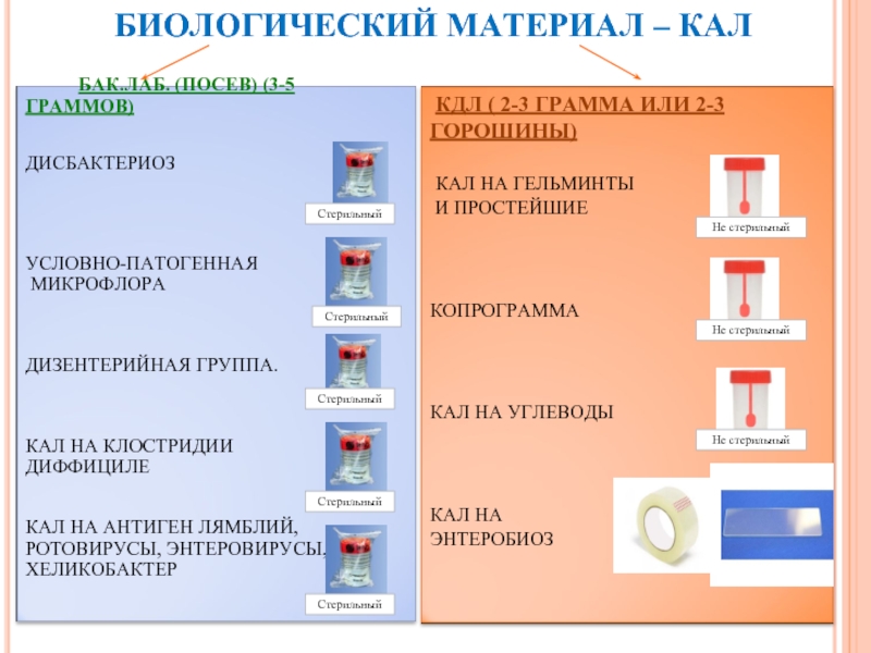 Код биоматериала