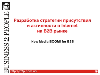 Разработка стратегии присутствия и активности в Internet на В2В рынке