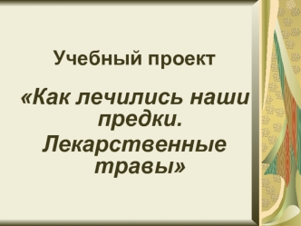 Учебный проект Как лечились наши предки. Лекарственные травы