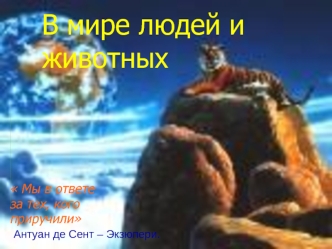 В мире людей и животных