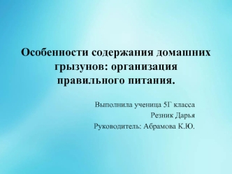 Особенности содержания домашних грызунов: организация правильного питания