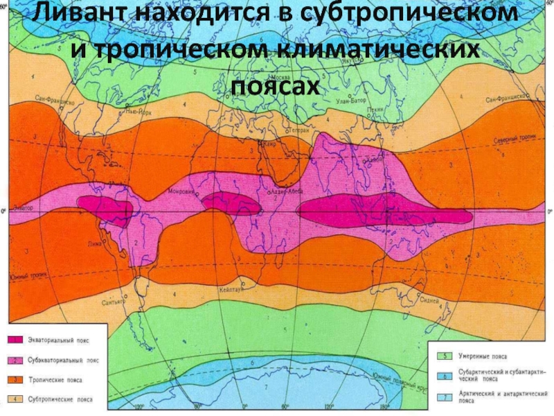 Карта тропических поясов